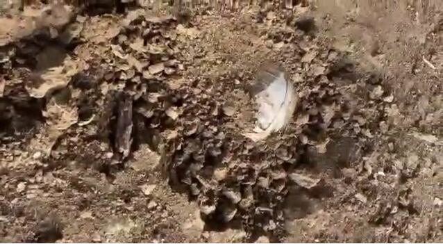 En desarrollo de operaciones conjuntas, tropas de la Armada de Colombia y del Ejército Nacional adscritas a la Fuerza de Tarea Conjunta “Titán”, ubicaron y neutralizaron explosivos artesanales de alto poder, que pretendían ser usados para atentar contra la comunidad de la zona y los uniformados que ejercen labores de control y seguridad en el departamento del Chocó.