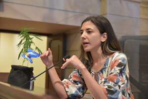 Congresista Susana Boreal.