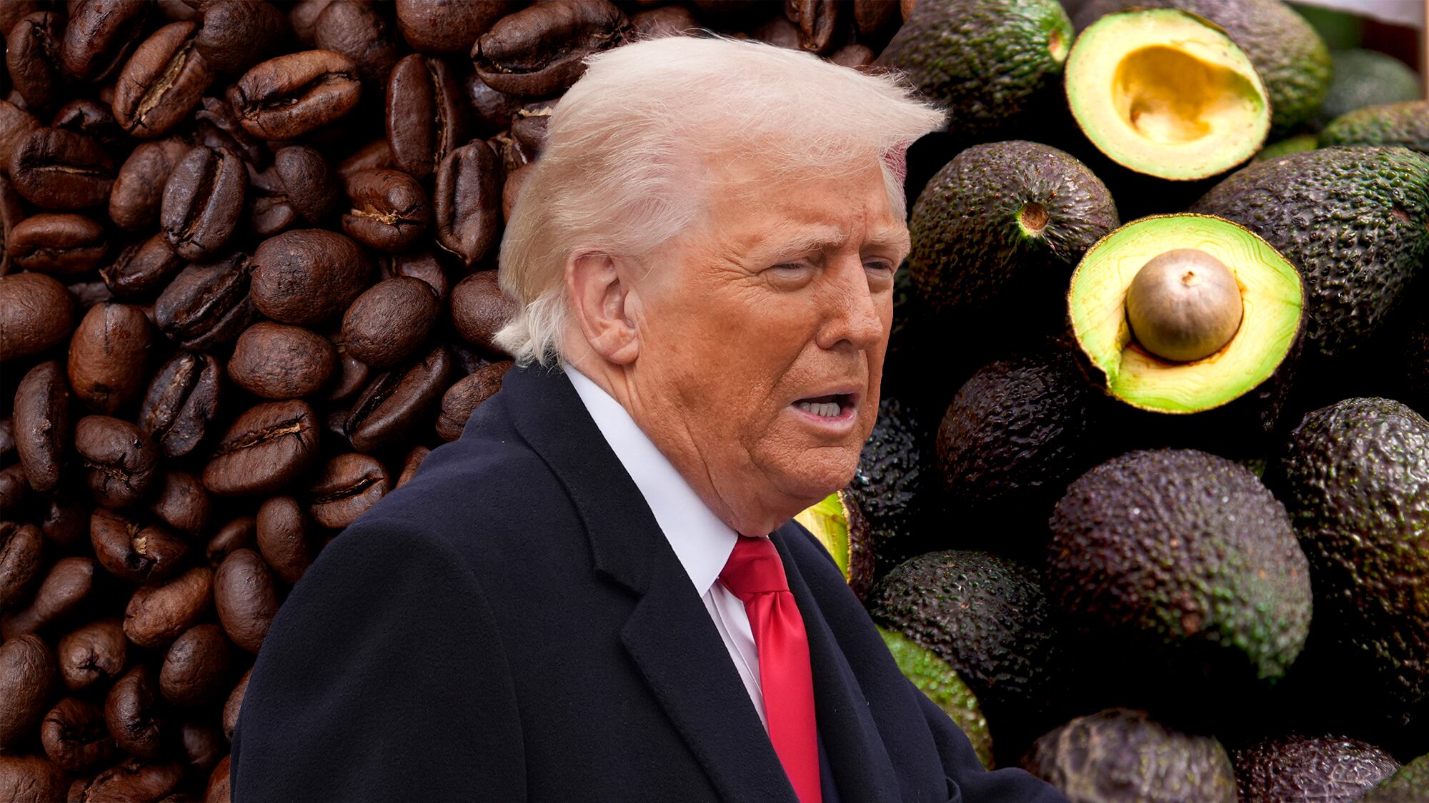 Donald Trump, Café aguacate Hass