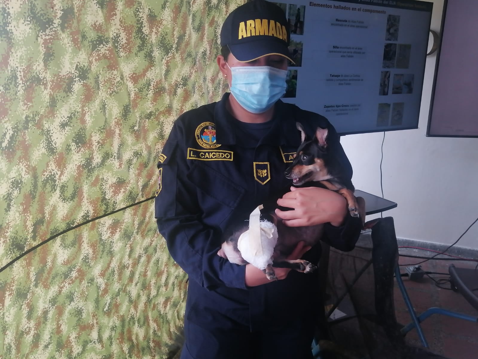 La mascota de alias Fabian, el cabecilla del ELN que sobrevivió a un bombardeo en el Chocó