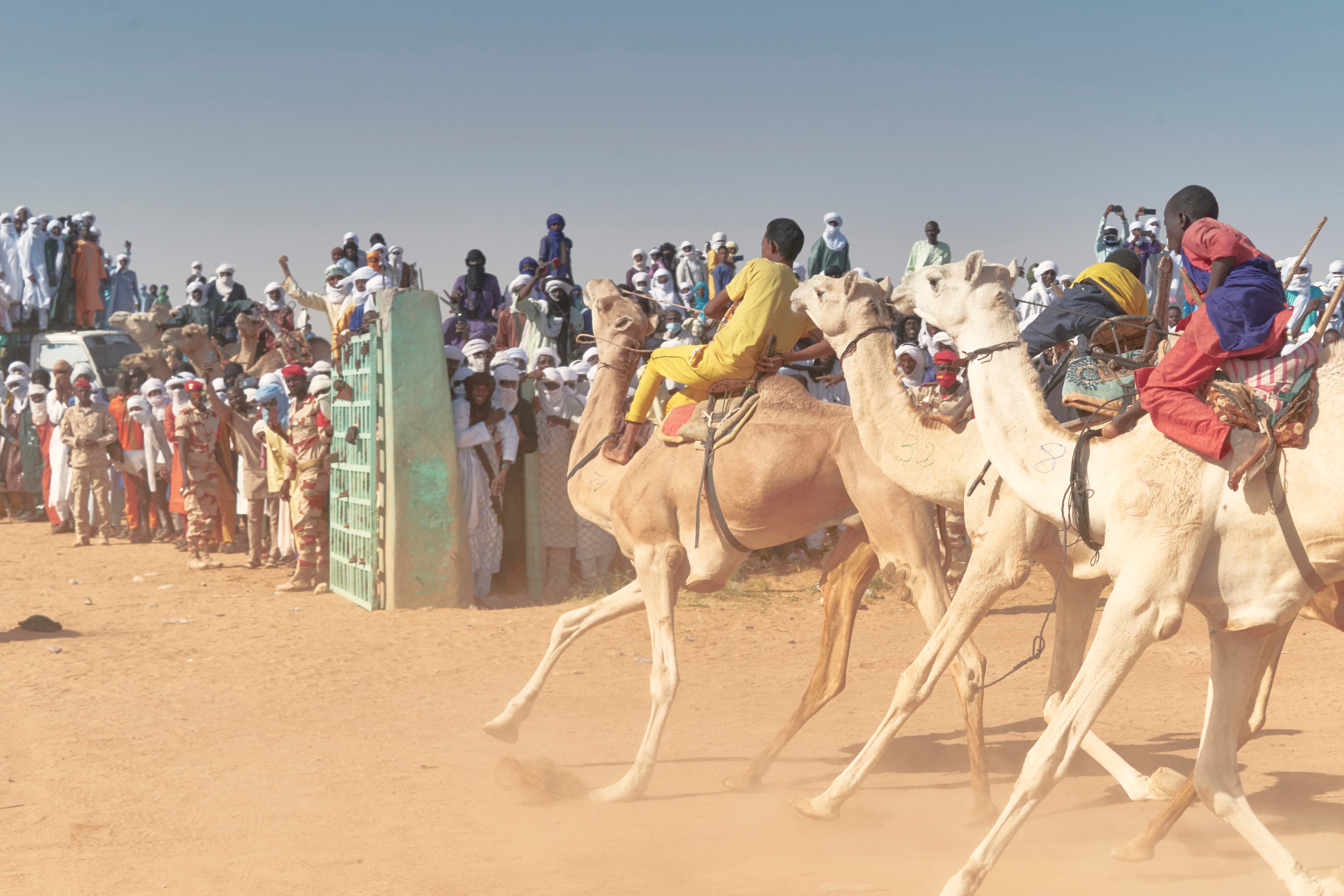 Participants ride their camels at the arriving point of the camel race, during the Cure Salee, the annual festival for nomadic people, in Ingall, northern Niger, on Saturday 18, 2021. - The Ingall race is a great Nigerien celebration of Saharan pastoralism caught up in the jihadist conflict in the region.