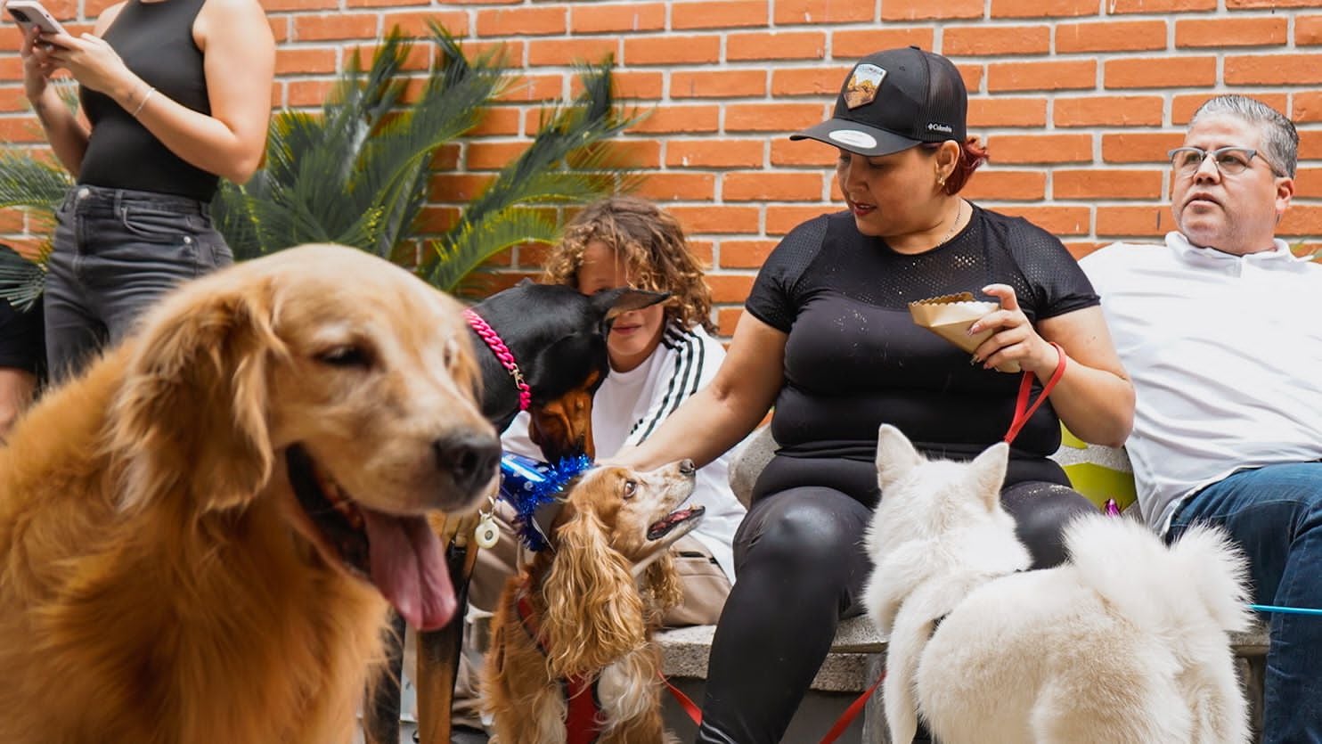 El 21 de julio se celebra el Día Mundial del Perro.