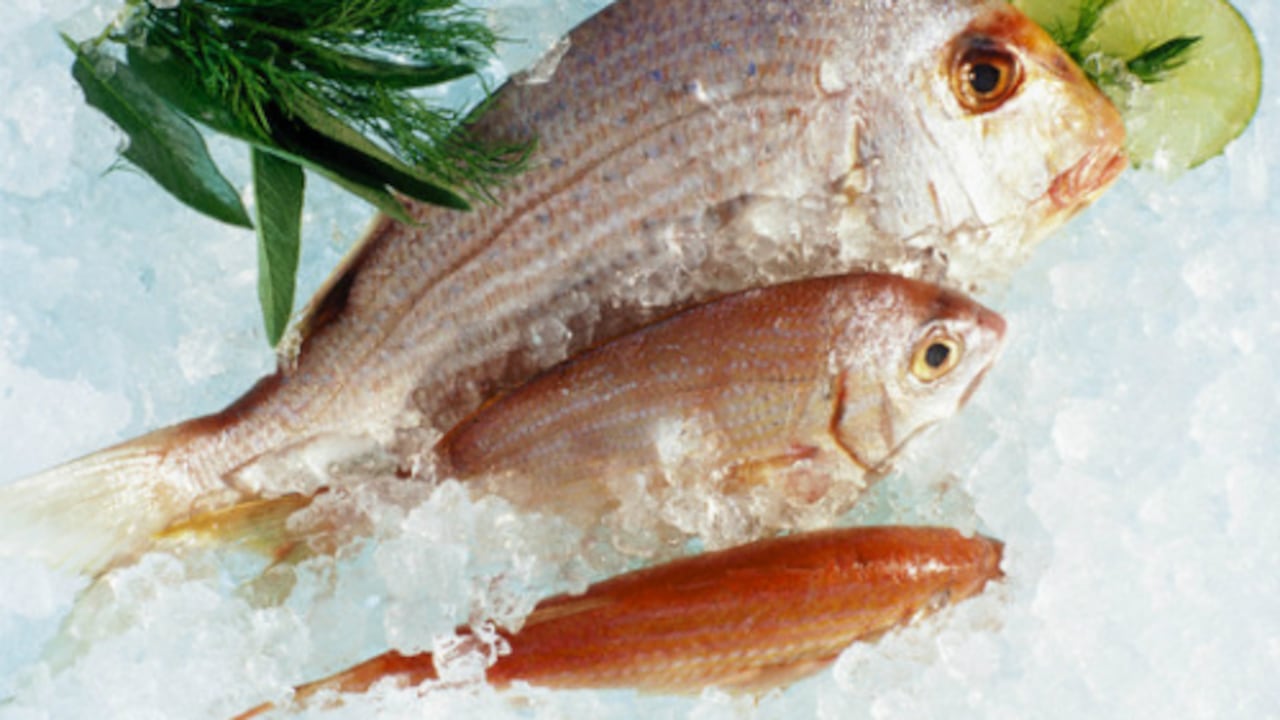 Por destinos de origen, el 36% de las importaciones colombianas de pescado provienen de Vietnam, seguido de países como Argentina (9%), Costa de Marfil (8), y Ecuador (8%).