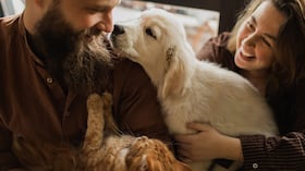Conozca cómo puede prevenir el cáncer en estos animales de compañía.