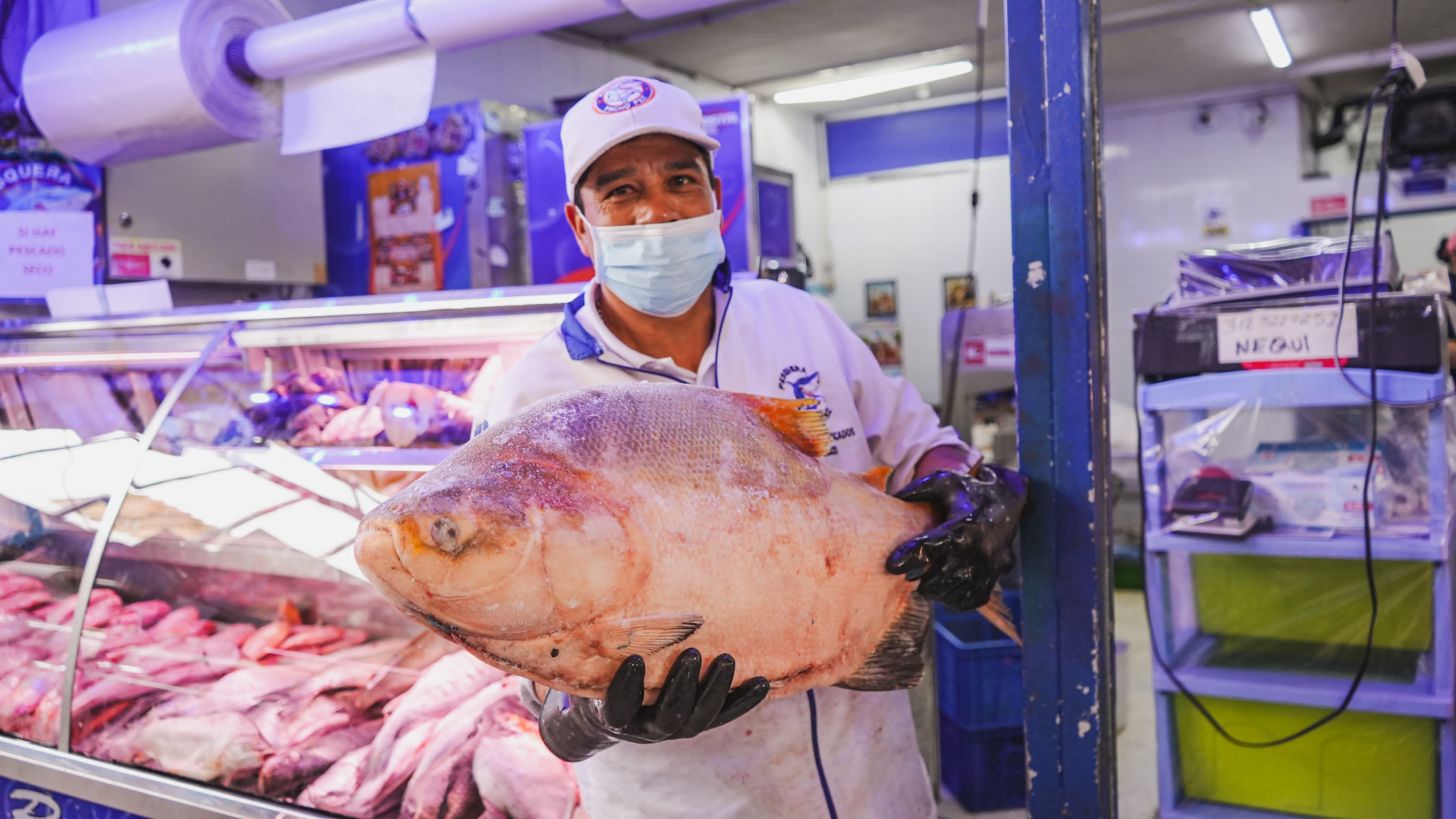 Comercialización de pescado en Bogotá de cara a la Semana Santa 2025