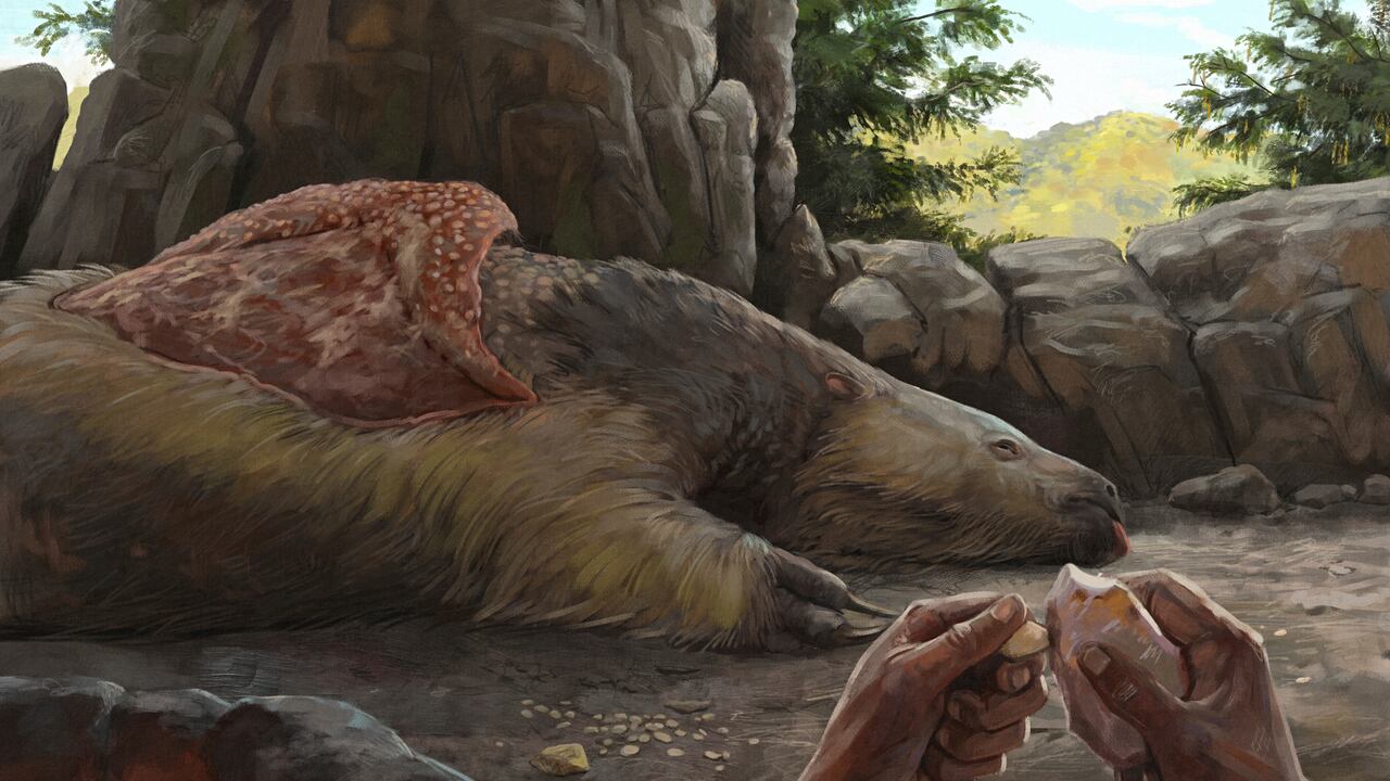 Descubrimientos arqueológicos recientes revelan que los perezosos gigantes y mastodontes convivieron con los humanos en América durante milenios, desafiando teorías previas.