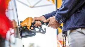 La papa y la gasolina han sido dos fuerzas opuestas de la inflación. La primera es el producto que más ha subido de precio este año, mientras que la segunda ha permitido que Colombia tenga una inflación inferior a la de muchos países.