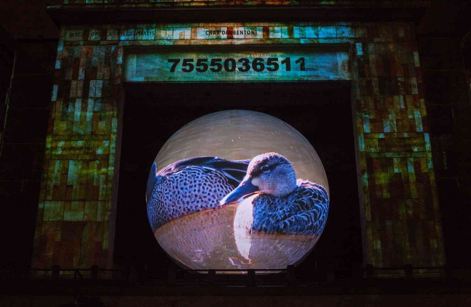 (Juancho Torres - Agencia Anadolu)