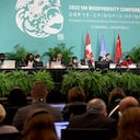 Acuerdo histórico sobre biodiversidad en COP15 de Montreal