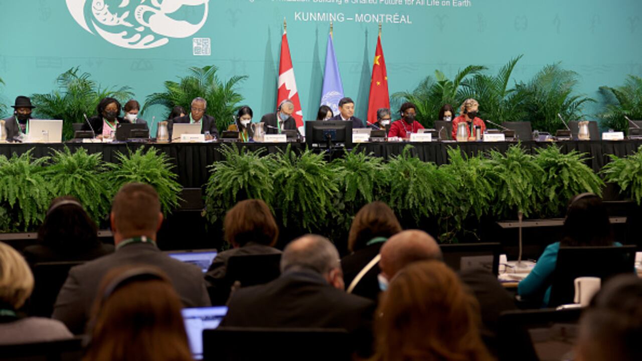 Acuerdo histórico sobre biodiversidad en COP15 de Montreal