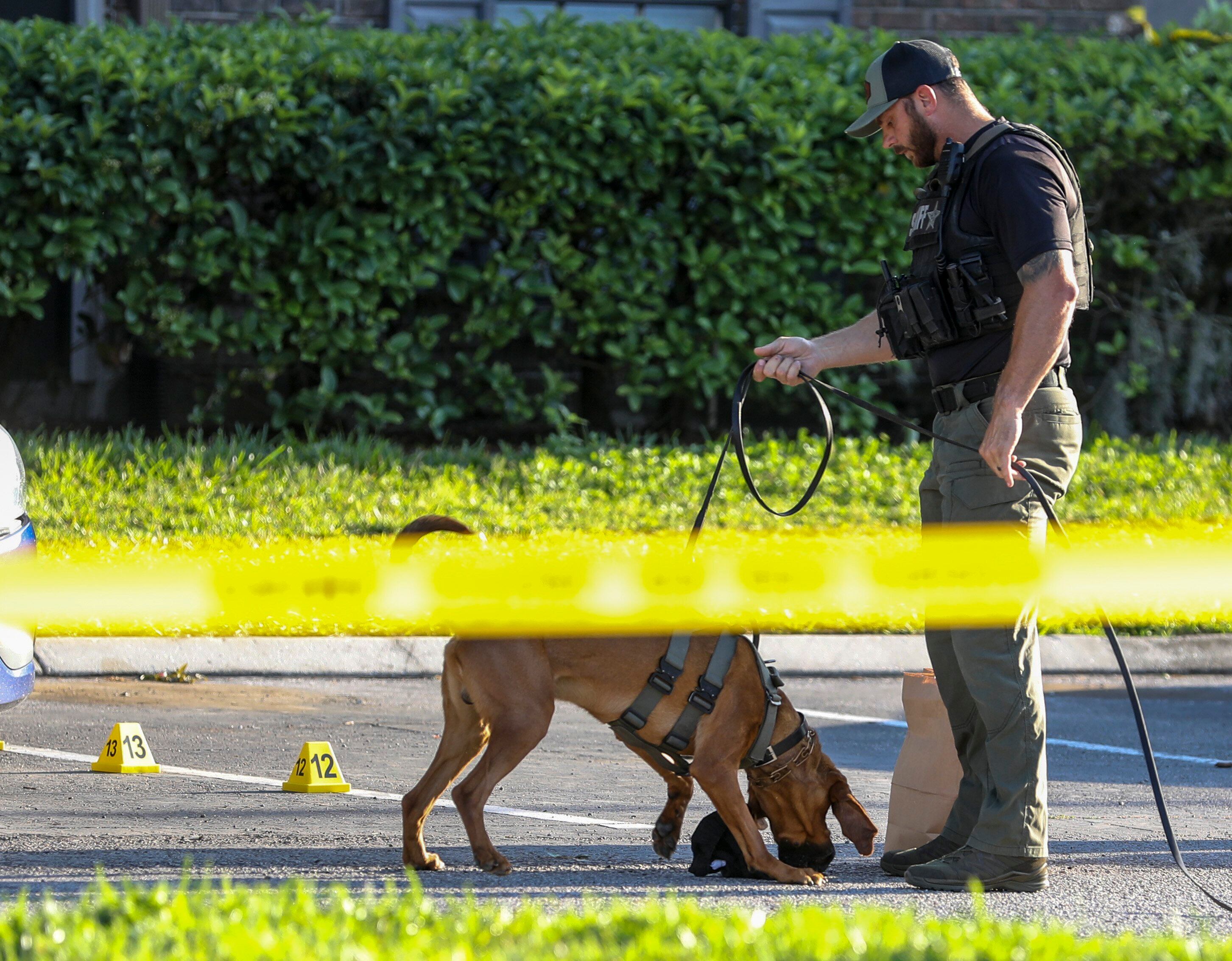 Un alguacil no identificado del condado de Manatee sostiene un K-9 en la escena de un tiroteo y posible secuestro el jueves 30 de marzo de 2023 en St. Petersburg, Florida. La policía encontró el cuerpo de una mujer de 20 años y dijo que tenía dos años. su hijo mayor Taylen Mosley está desaparecido. (Chris Urso/Tampa Bay Times vía AP)