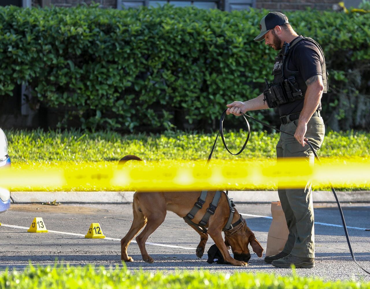 Un alguacil no identificado del condado de Manatee sostiene un K-9 en la escena de un tiroteo y posible secuestro el jueves 30 de marzo de 2023 en St. Petersburg, Florida. La policía encontró el cuerpo de una mujer de 20 años y dijo que tenía dos años. su hijo mayor Taylen Mosley está desaparecido. (Chris Urso/Tampa Bay Times vía AP)