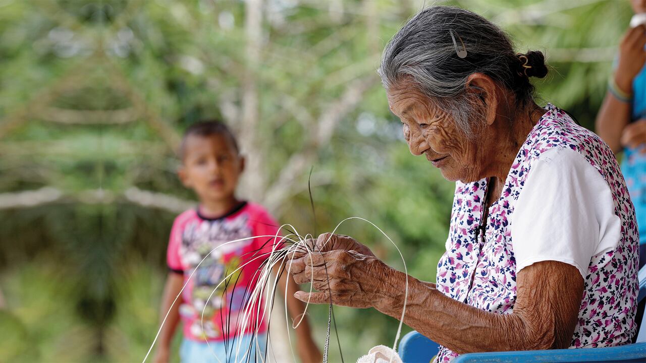 Especial Minería, Inversiones Poderosas