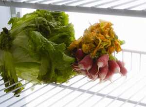 Organización y temperatura son dos de los aspectos más importantes a tener en cuenta para evitar que se pierdan los productos refrigerados.