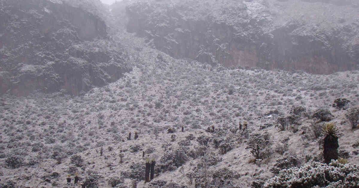 La situación se presenta en el Parque Nacional Los Nevados.