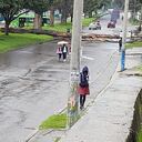 Árbol caído carrera 7° Bogotá Foto: Habitantes del sector