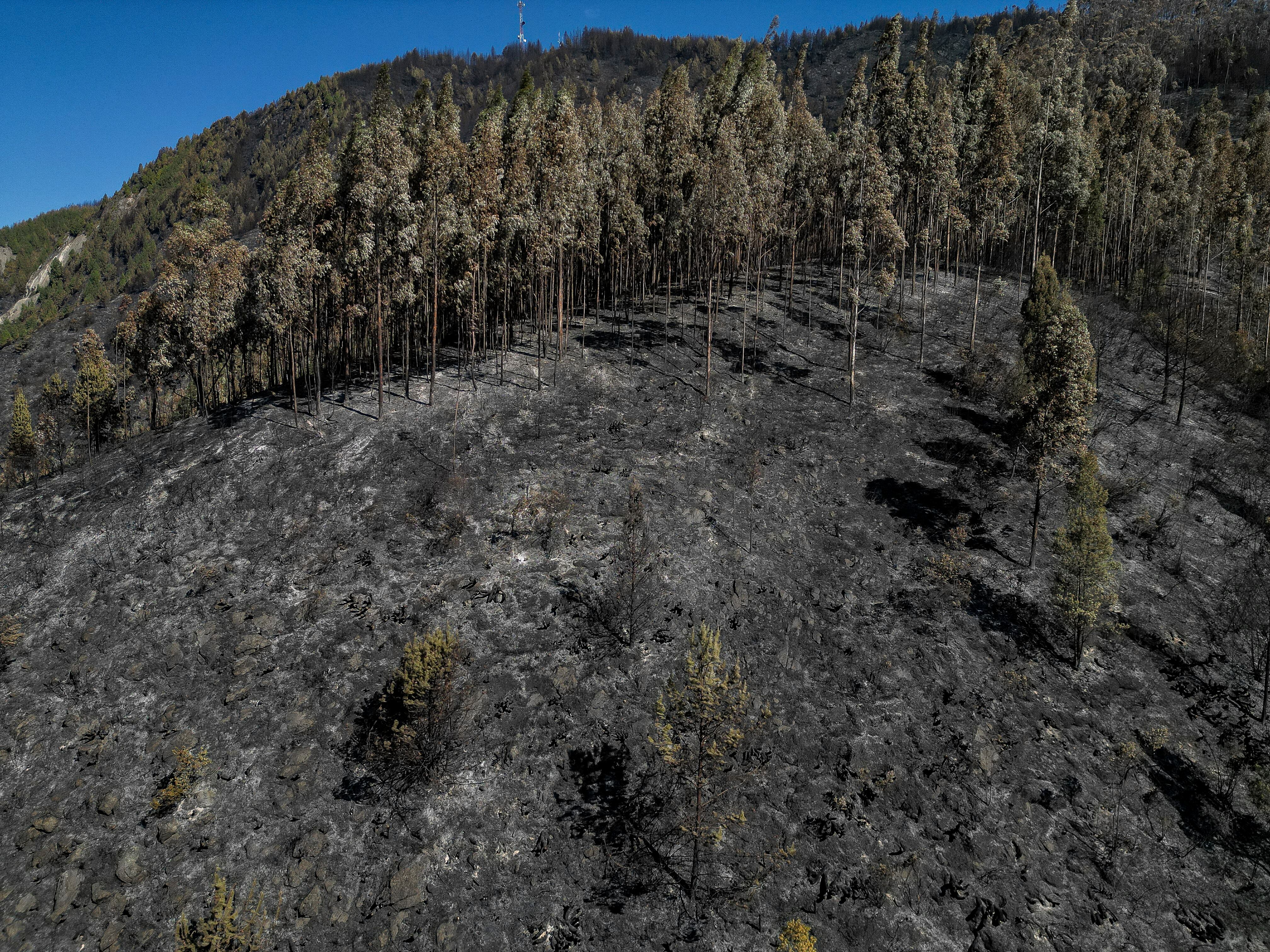 Vegetación devastada por los incendios en Nemocón