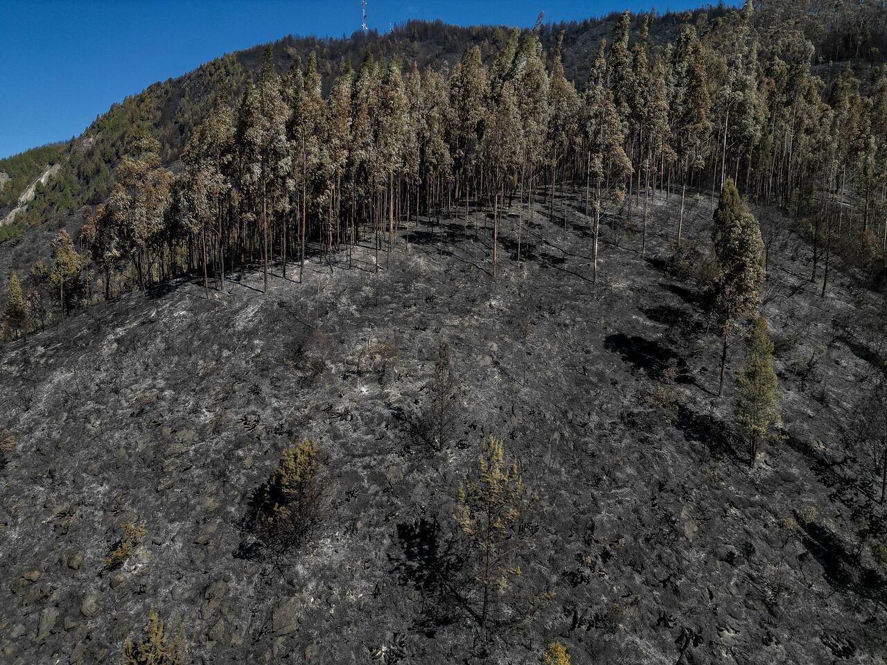 Vegetación devastada por los incendios en Nemocón