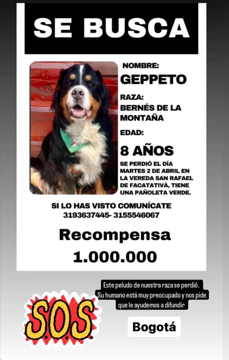 Gepetto tiene 8 años
