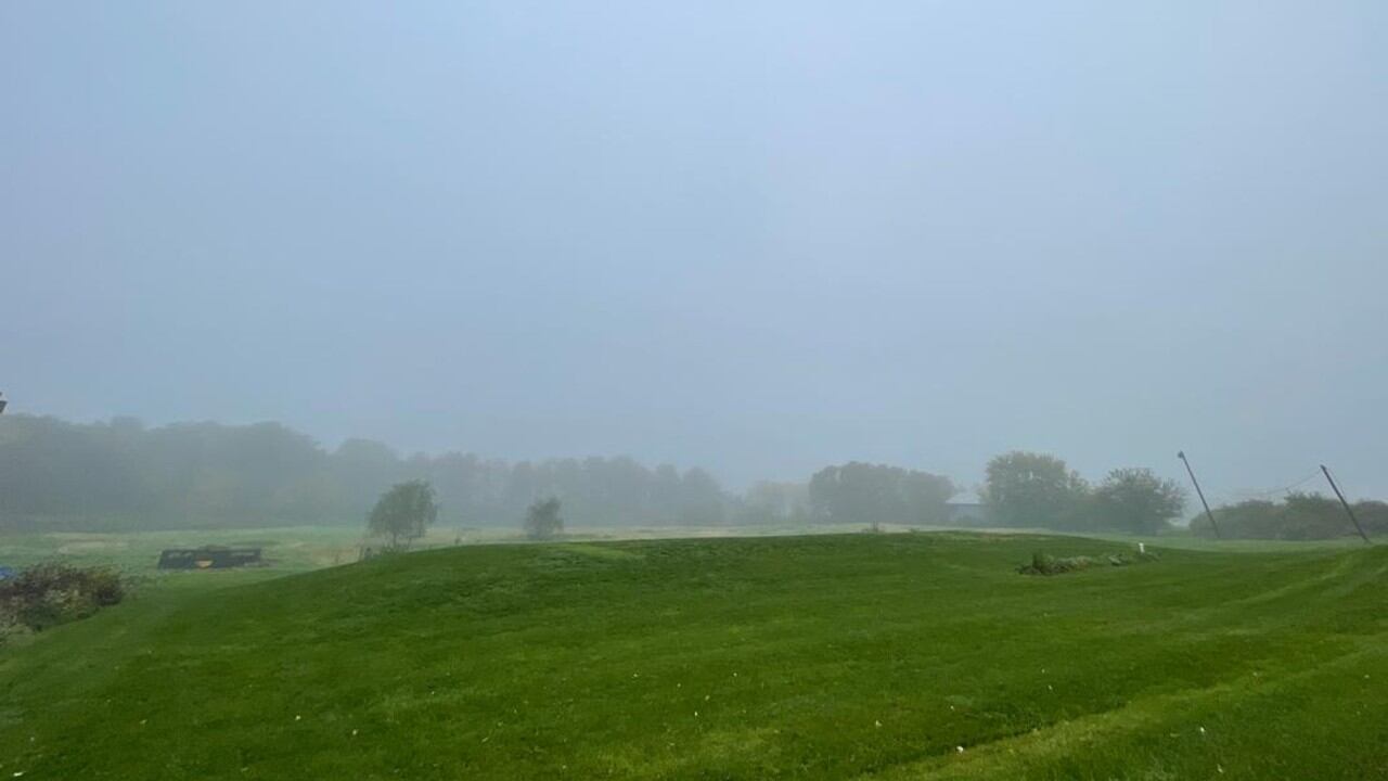 La niebla de radiación, estable y predecible, fue el escenario elegido para estudiar bacterias atmosféricas en acción.