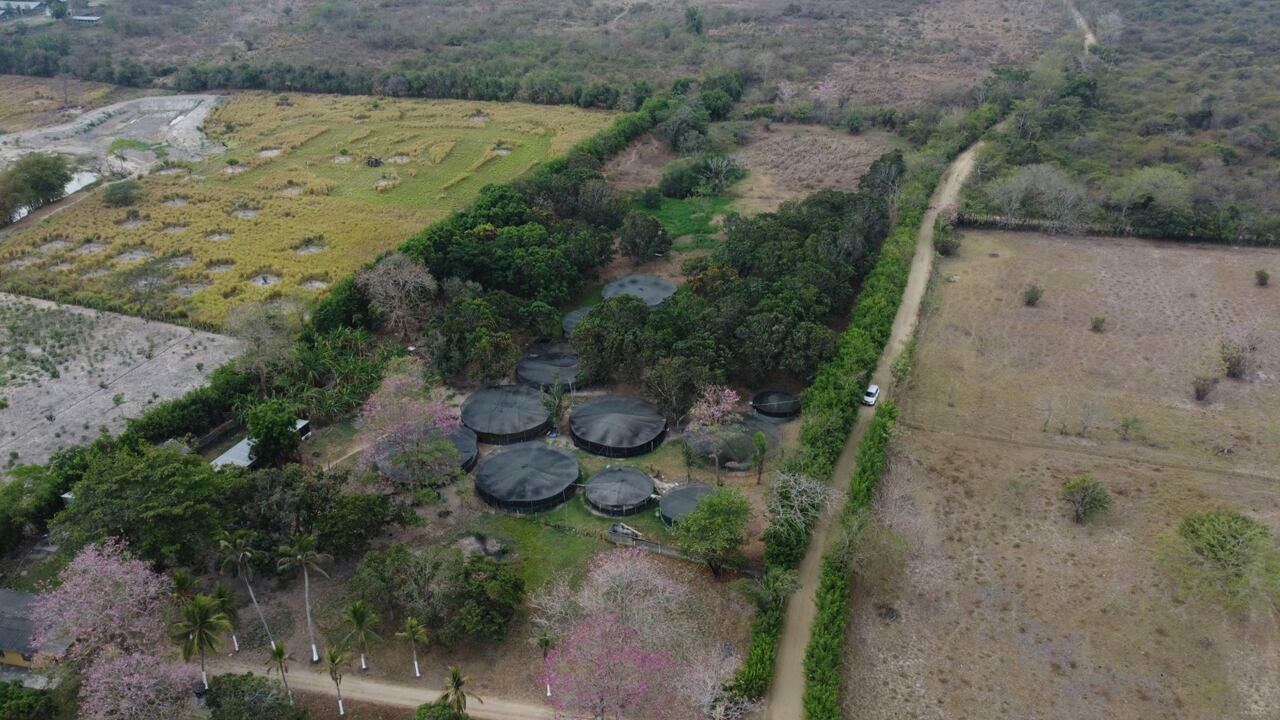 La finca aparece como propiedad del cantante Alex Manga.