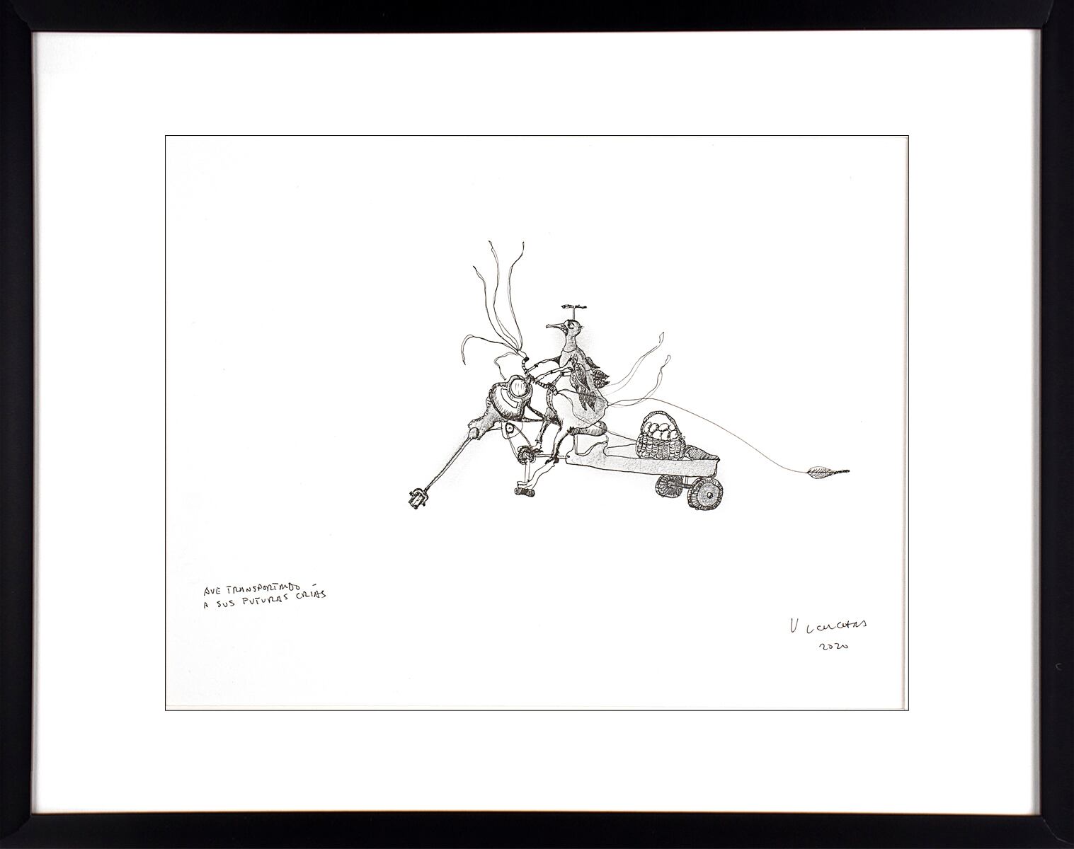 Ave transportando a sus futuras crías