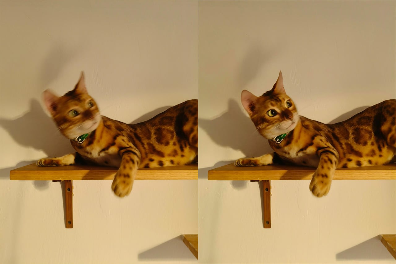 Estos equipos tienen la capacidad de restaurar la nitidez de fotos borrosas.