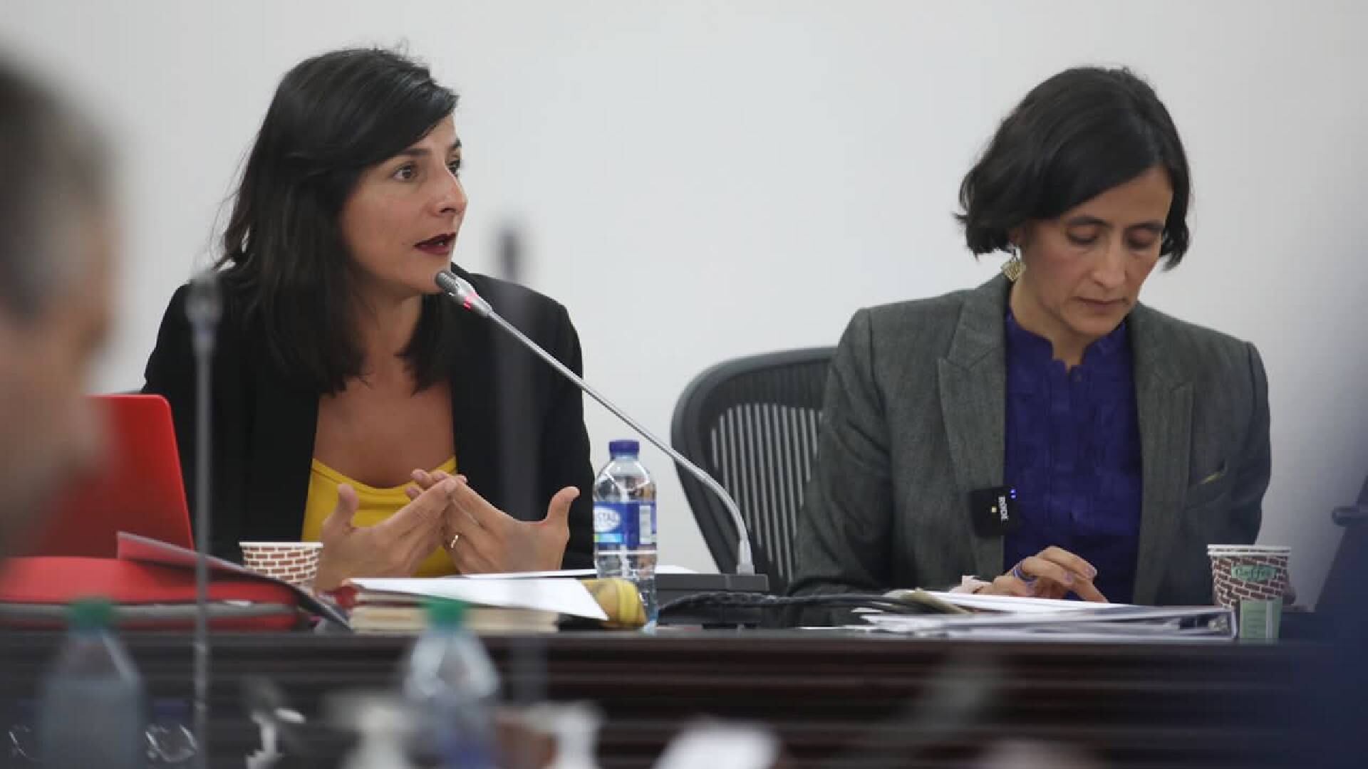 Ministra de Minas y Energía, Irene Vélez.