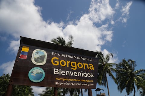 Playa Guapi Guapi: joya del Pacífico colombiano y destino lleno de experiencias ...