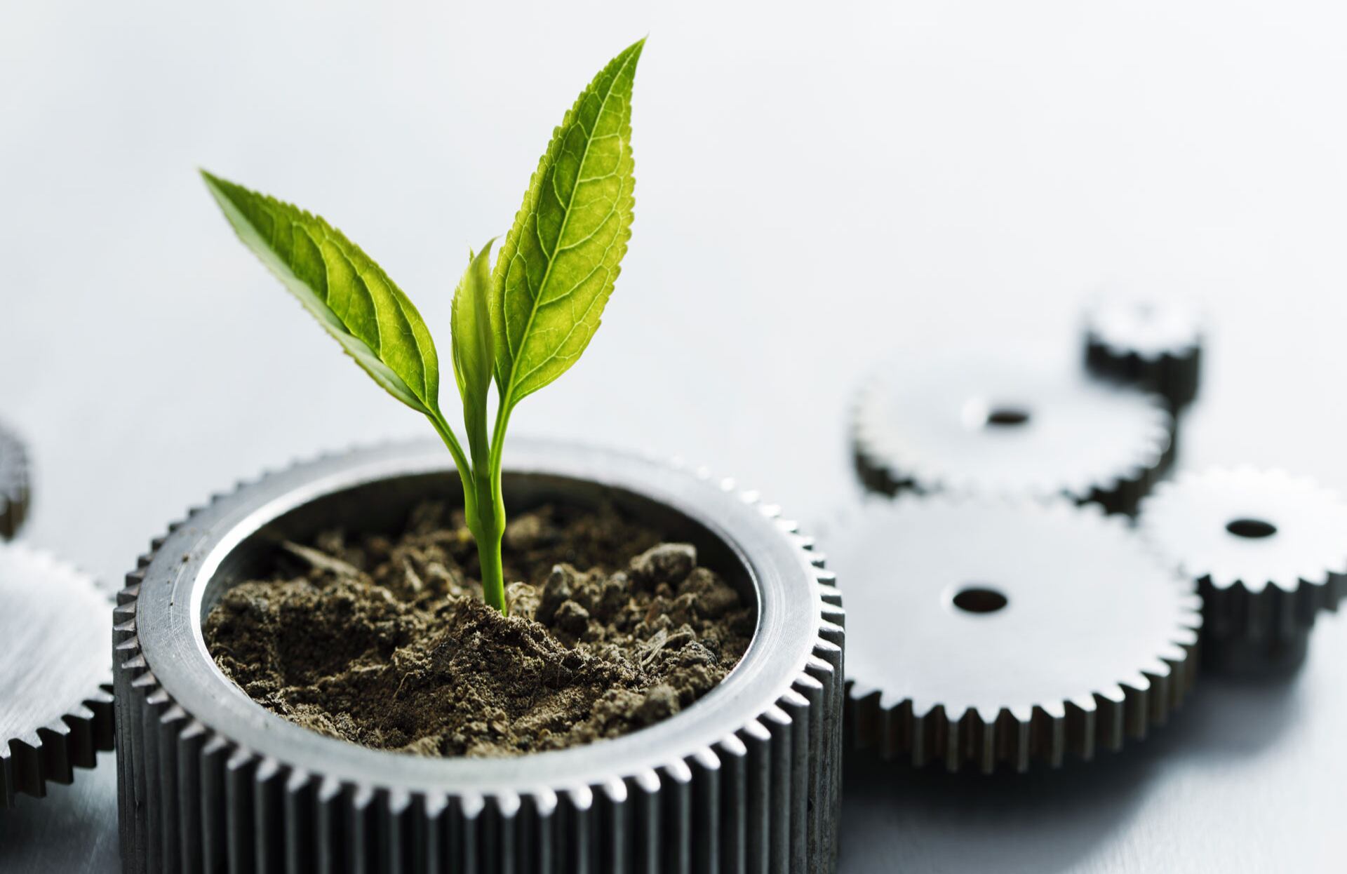 Compromiso con el medio ambiente, las comunidades de influencia y su entorno, más que filantropía, es una estrategia de negocios.