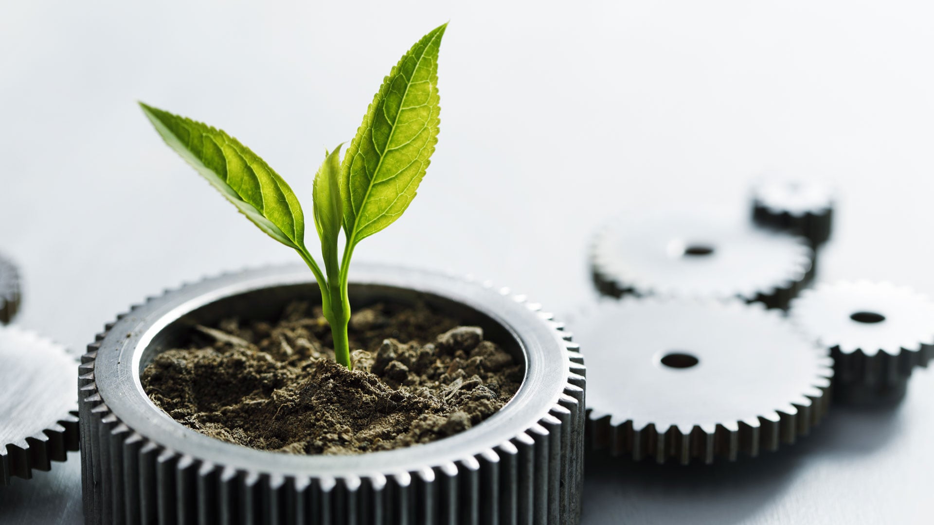 Compromiso con el medio ambiente, las comunidades de influencia y su entorno, más que filantropía, es una estrategia de negocios.