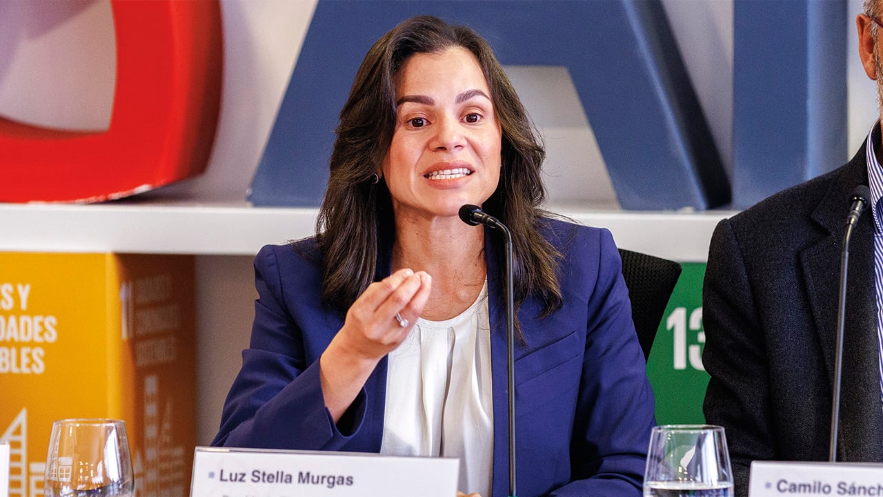 Luz stella murgasPresidenta de Naturgas