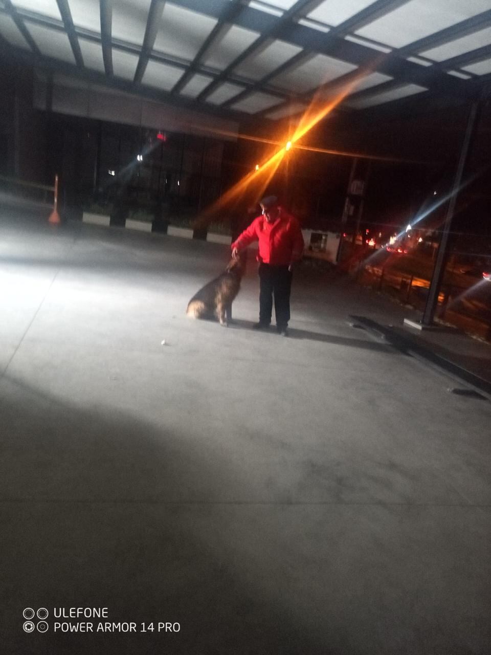 Luego de las denuncias en redes sociales, Bongo fue reubicado en otra instalación donde estará a salvo de las lluvias.