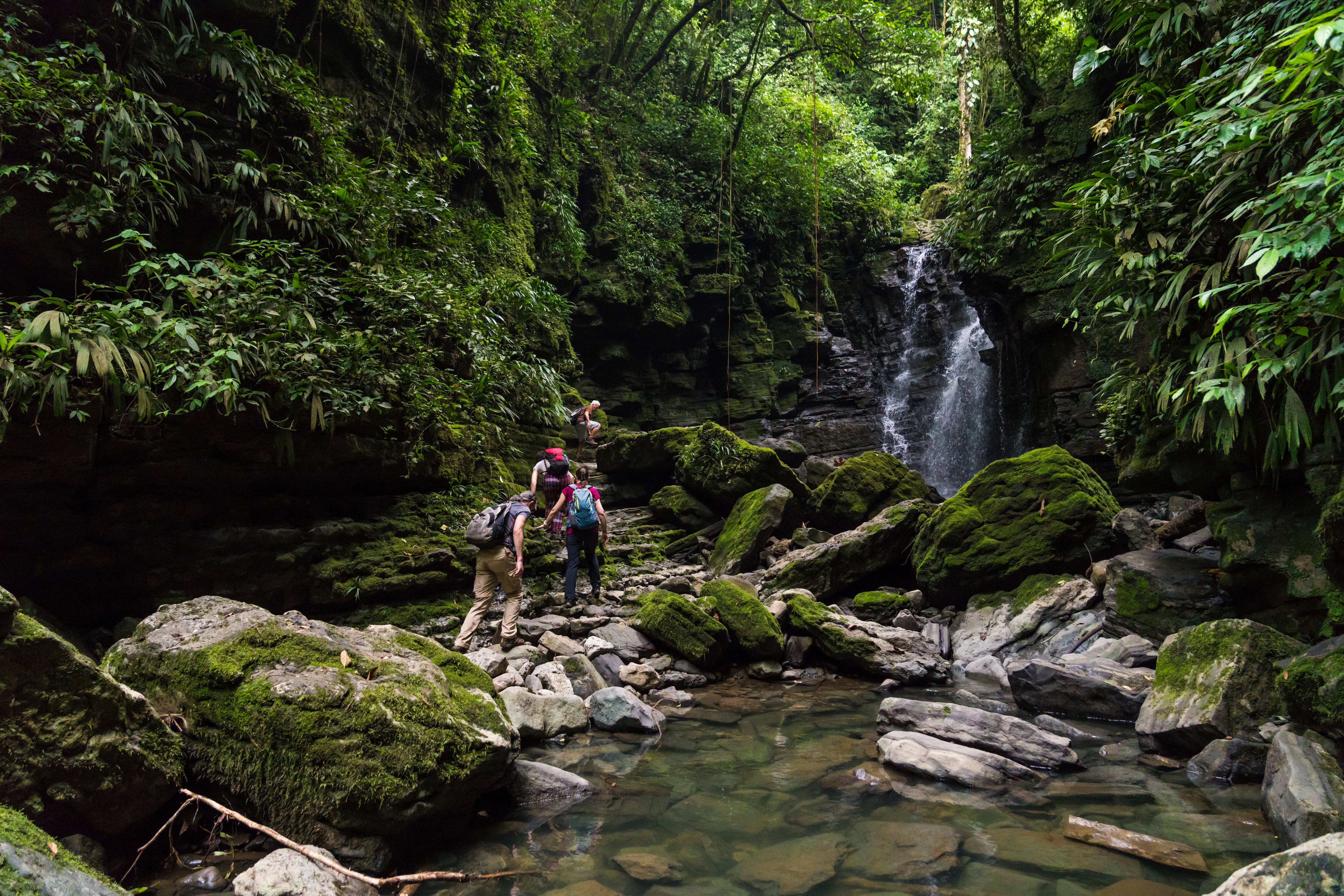 Caminatas ecológicas en Bogotá
