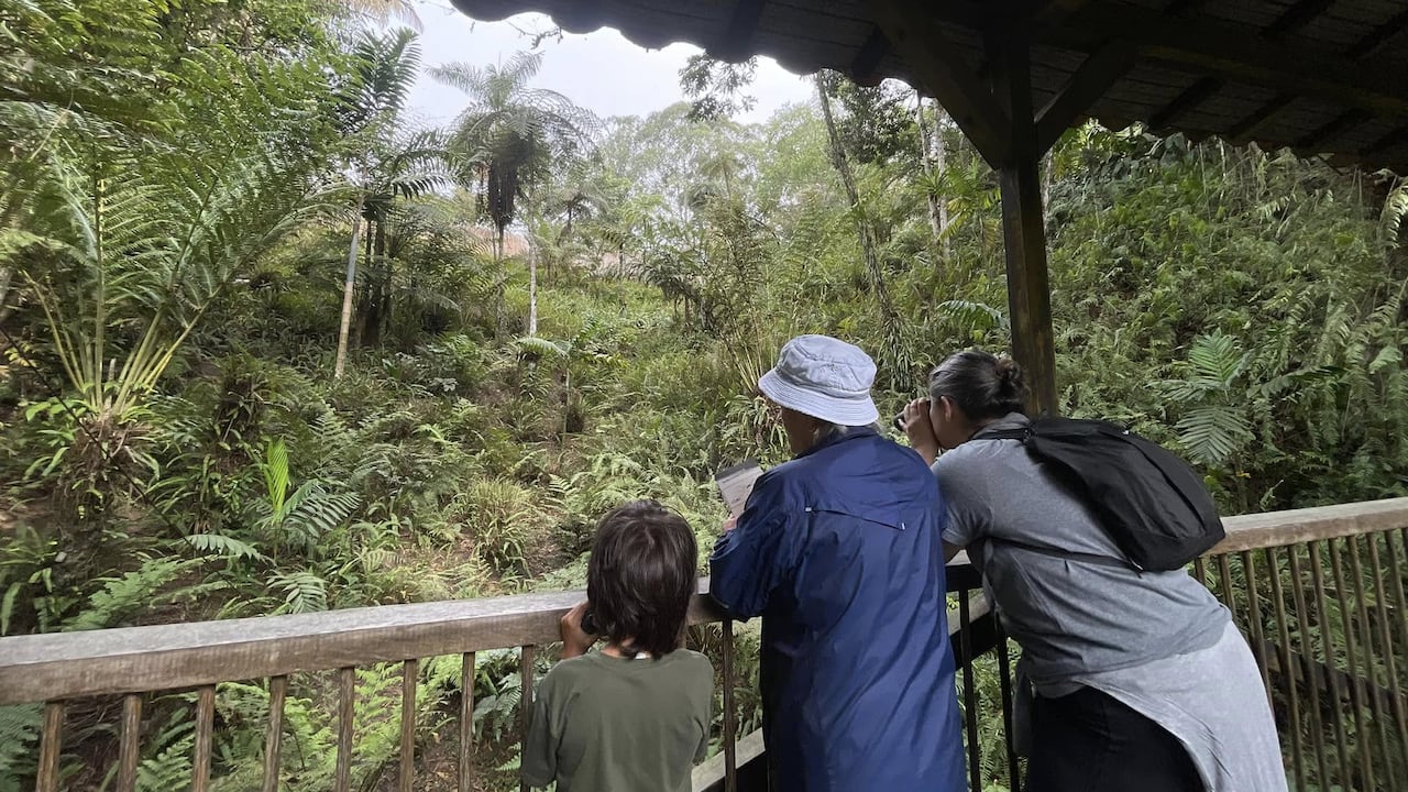 Visitantes del Jardín Botánico del Quindío