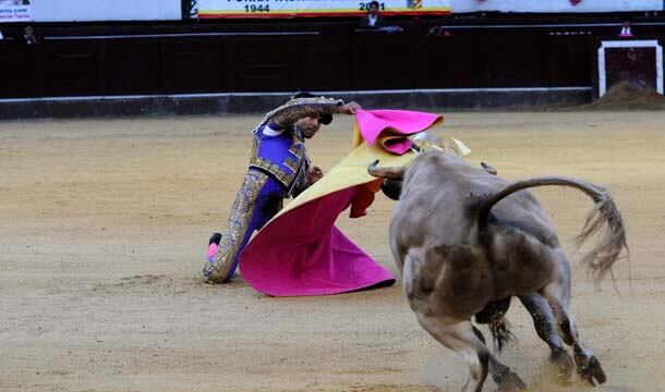 Franco Salcedo saluda al novillo con una larga cambiada de rodillas. 