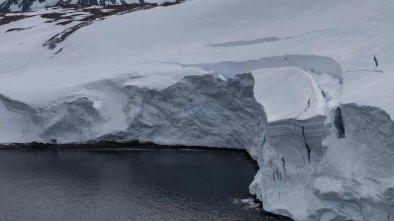 Los glaciares en la Antártida amenazan a la humanidad si se llegan a descongelar.