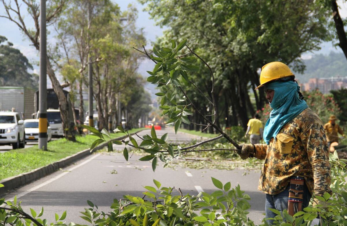 Foto: Pablo Andrés Monsalve Mesa.