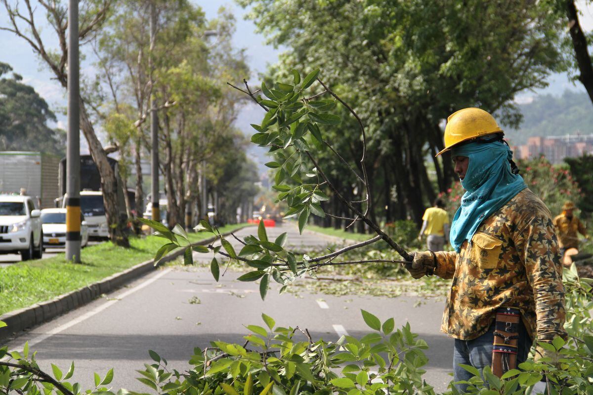 Foto: Pablo Andrés Monsalve Mesa.