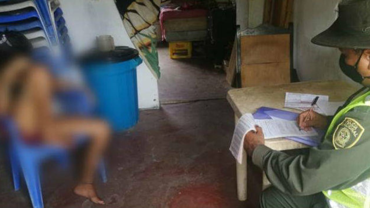 Colombia hoy: Fiscalía investigará a mujer que decapitó a una lechuza en Sucre/Foto: Policía Nacional