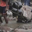 Muchas de las personas que cruzan el tapón del Darién viajan con niños.