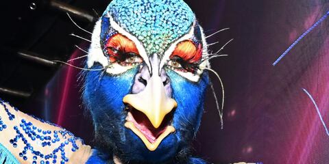 Heidi Klum sorprende cada año por su creatividad al momento de disfrazarse.