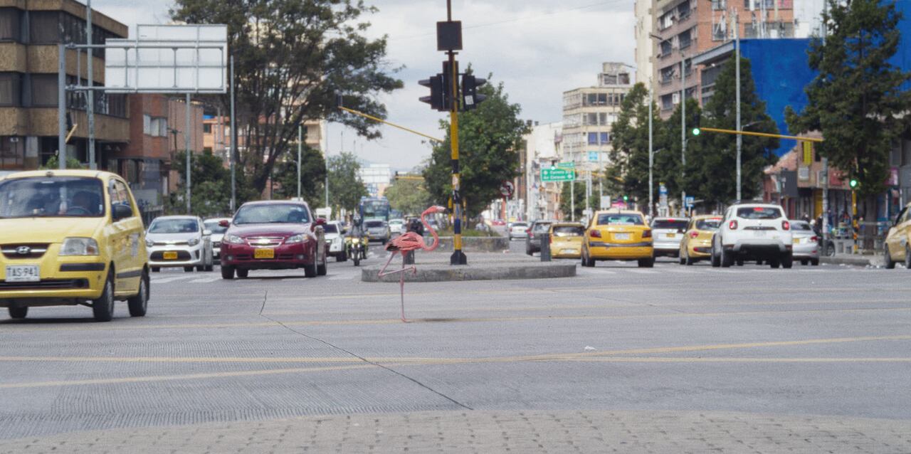 'Selva', de Esteban Hoyos García y Juan Miguel Gelacio. Cortesía Selva Producciones