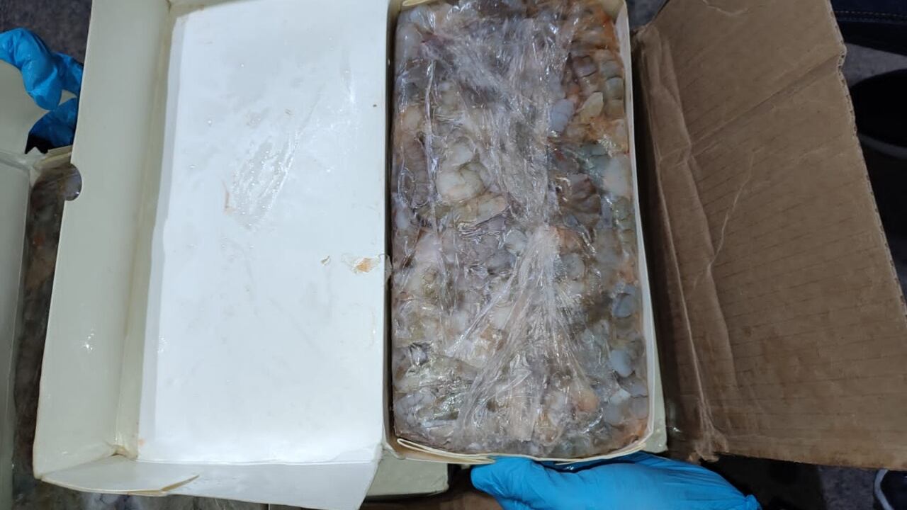 Camarones incautados en Tumaco, Nariño