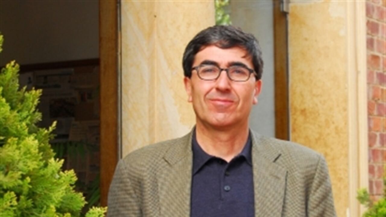 Roberto Steiner, director de Fedesarrollo.