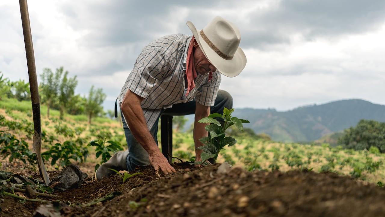 Foto de referencia de un campesino en Colombia trabajando la tierra.