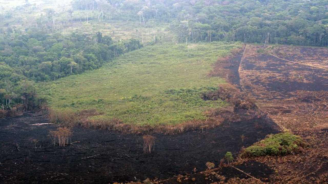 (Foto: Rodrigo Botero)