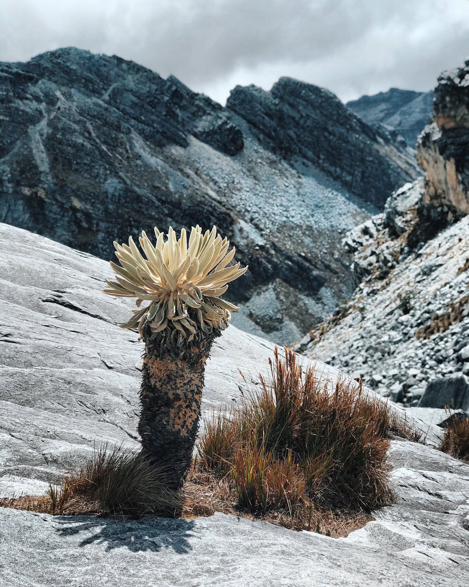 Volvió a nevar en parque El Cocuy
