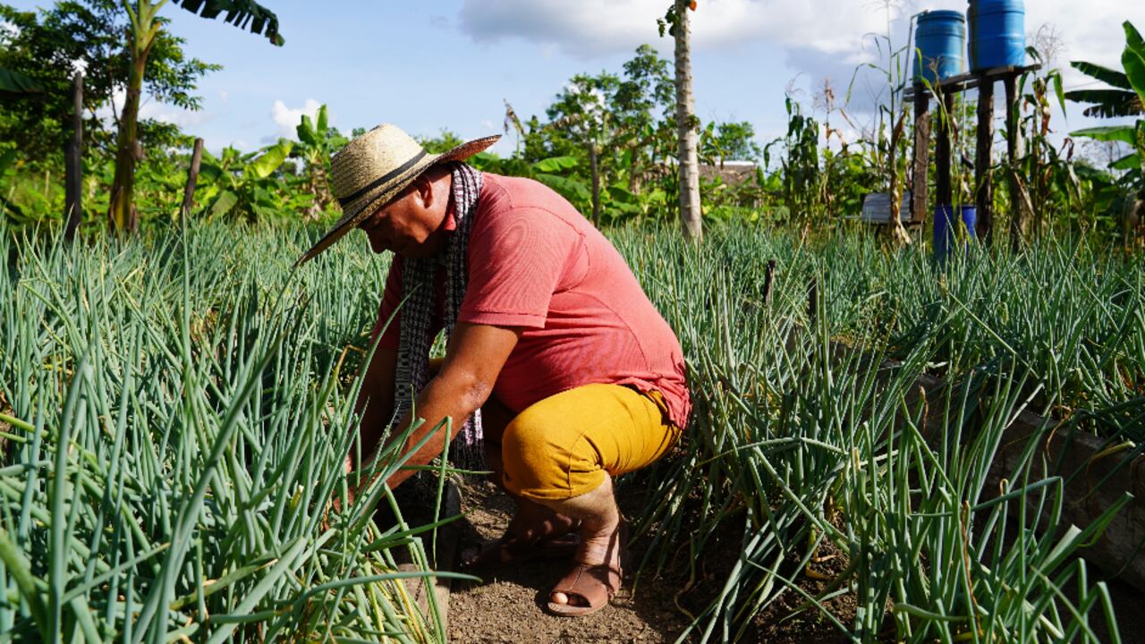 Aunque la meta era adjudicar 3 millones de hectáreas, por parte de la Agencia Nacional de Tierras, a diciembre del año 2021, solo se habían alcanzado 8.143,7 hectáreas, según la Fundación Forjando Futuros.
