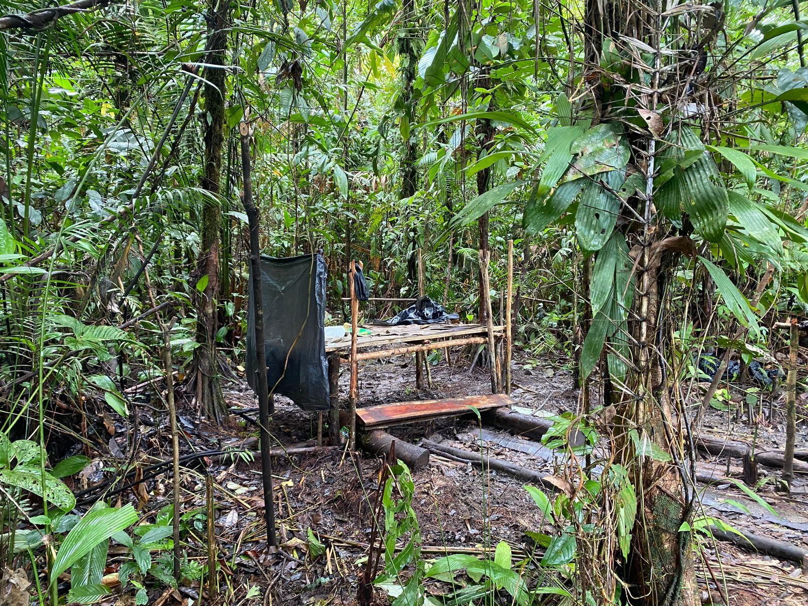 Campamento del ELN en el Chocó.